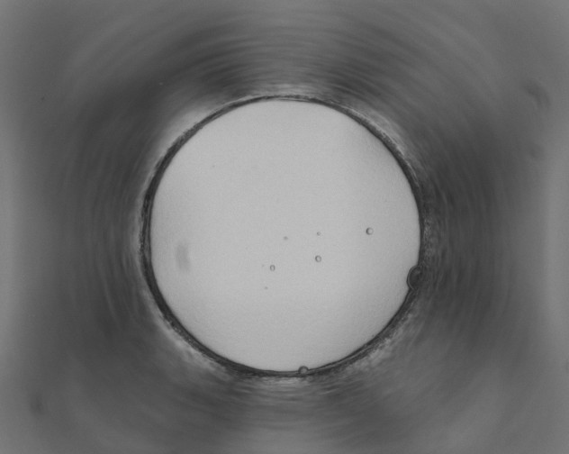 X0000111241135200907301301
