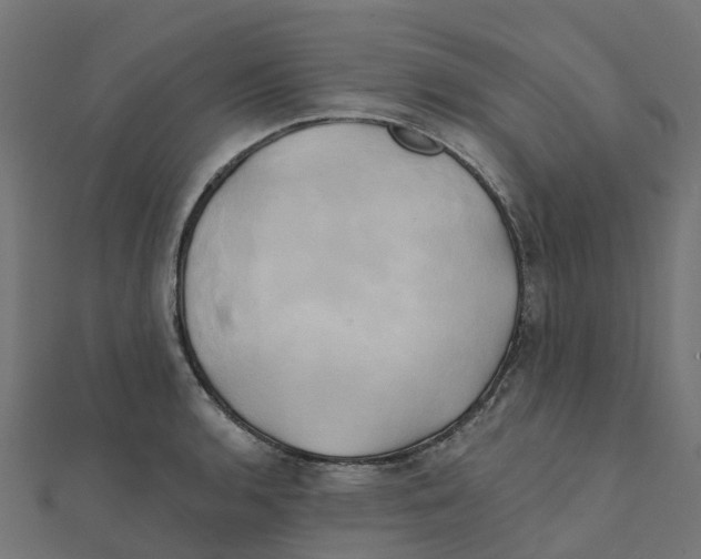 X0000111241136200907301301