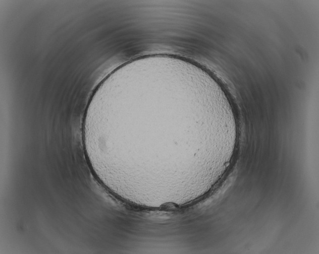 X0000111241137200907301301