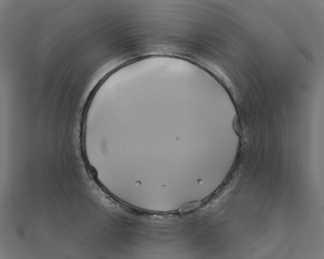 X0000111241138200907301301