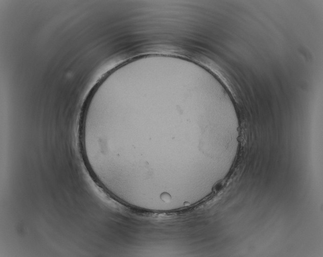 X0000111241139200907301301