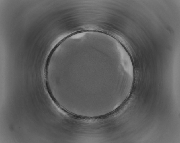 X0000111241141200907301301