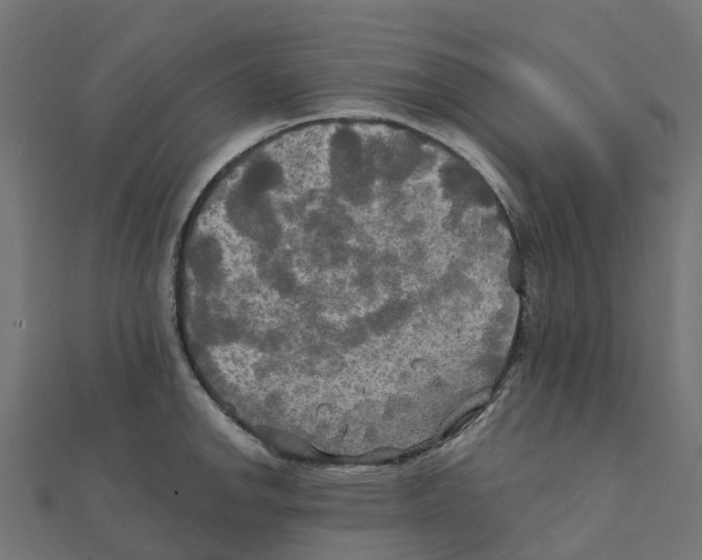 X0000111241142200907301301