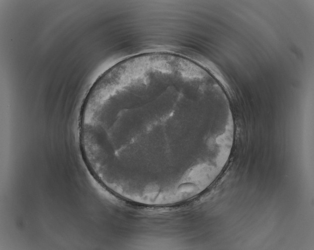 X0000111241143200907301301