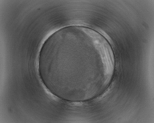 X0000111241144200907301301