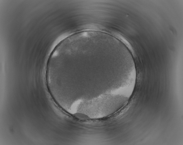 X0000111241146200907301301