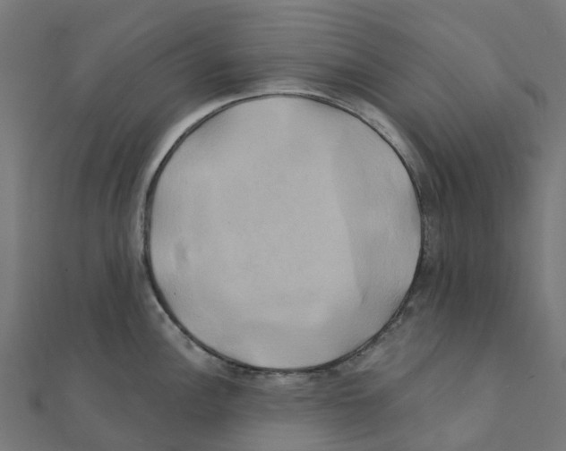 X0000111241148200907301301