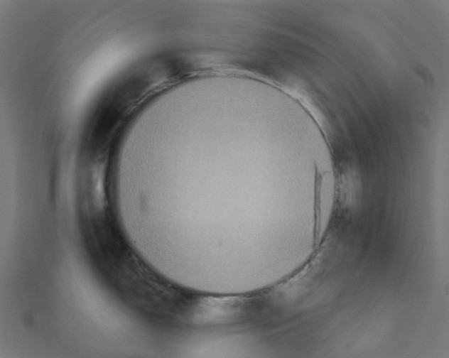 X0000111241150200907301301