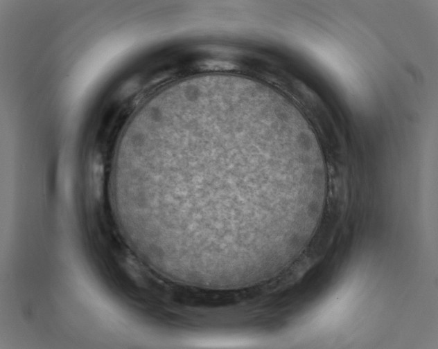 X0000111241151200907301301