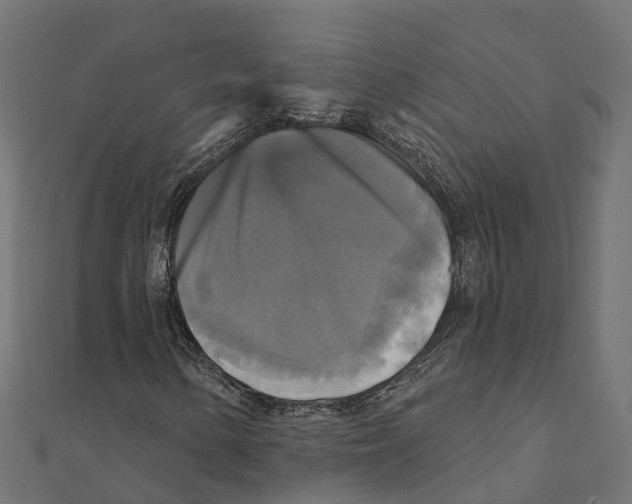 X0000111241154200907301301