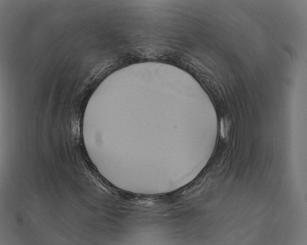 X0000111241155200907301301