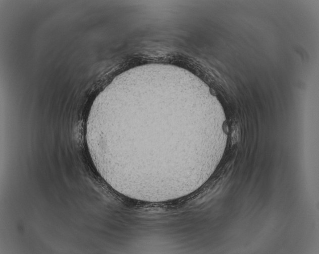 X0000111241156200907301301