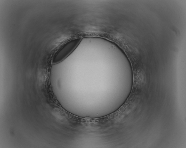 X0000111241157200907301301