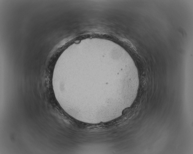 X0000111241159200907301301