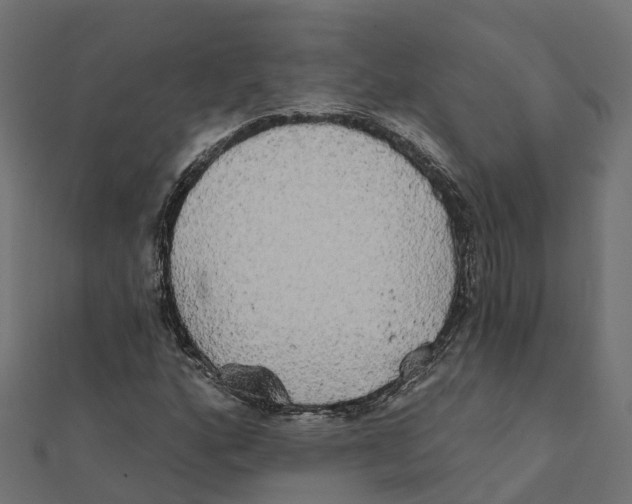 X0000111241160200907301301