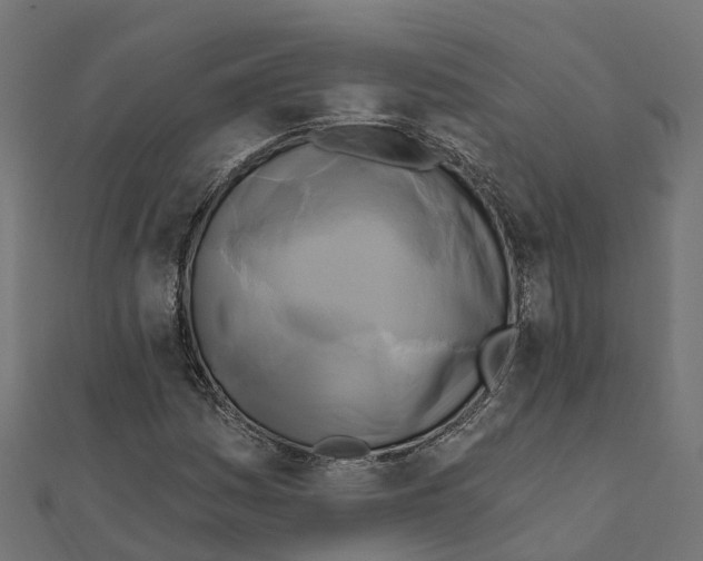X0000111241161200907301301