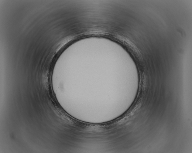X0000111241162200907301301