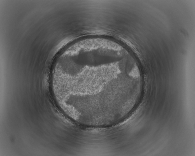 X0000111241163200907301300
