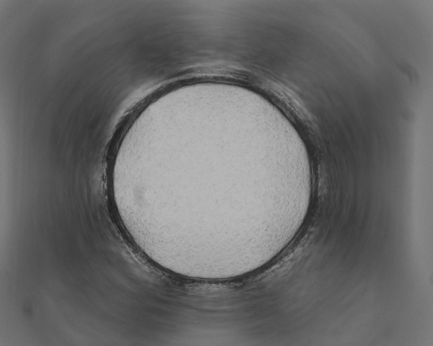 X0000111241164200907301300