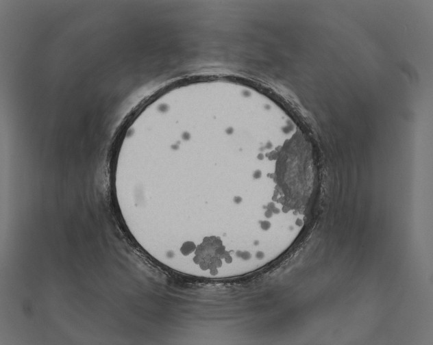 X0000111241167200907301300