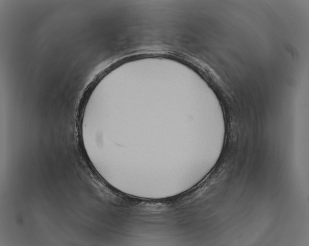 X0000111241168200907301300