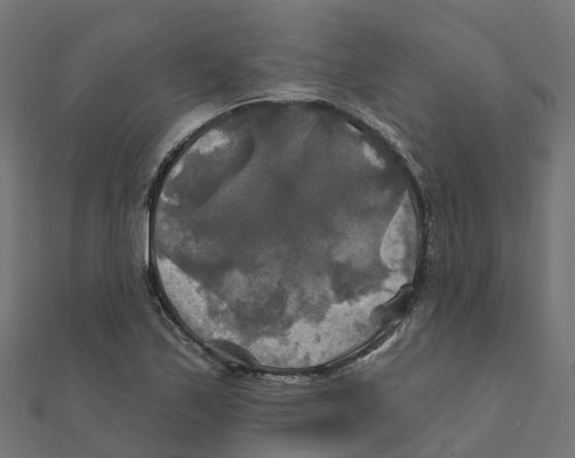X0000111241171200907301300