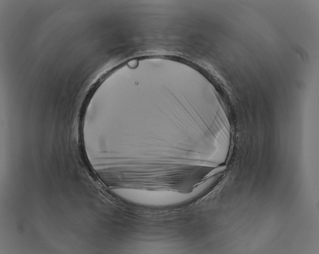 X0000111241173200907301300