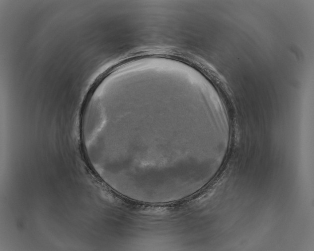 X0000111241174200907301300