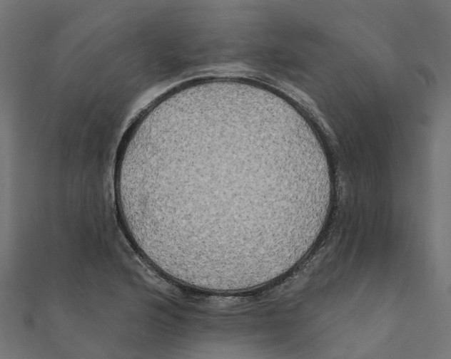 X0000111241176200907301300