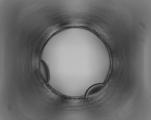 X0000111241177200907301300