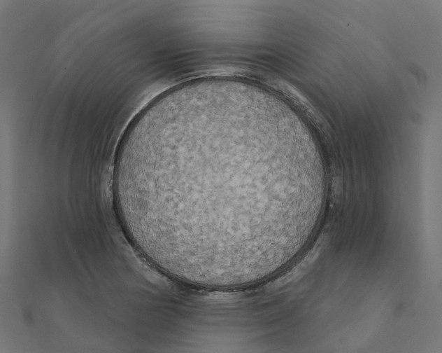X0000111241178200907301300