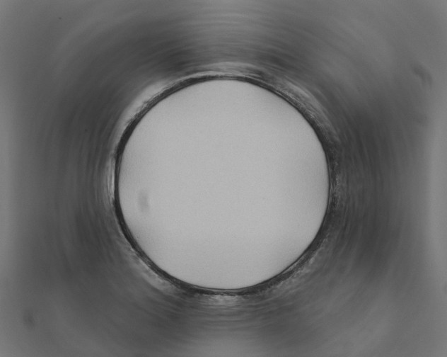 X0000111241180200907301300