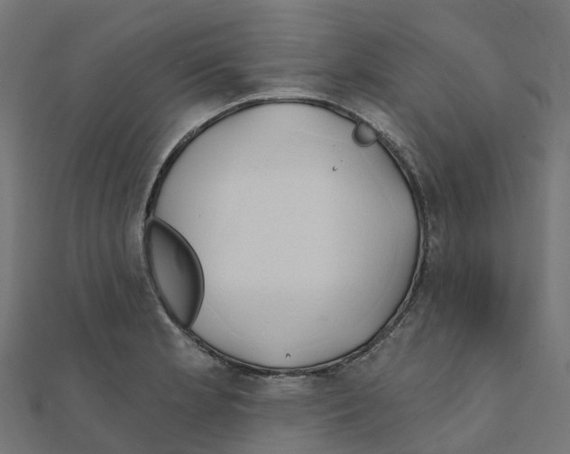X0000111241181200907301300