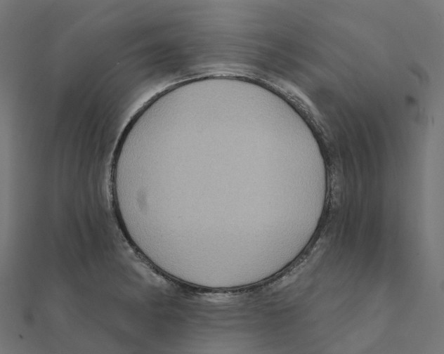 X0000111241182200907301300
