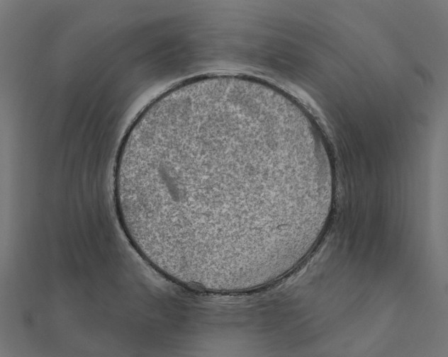 X0000111241183200907301300