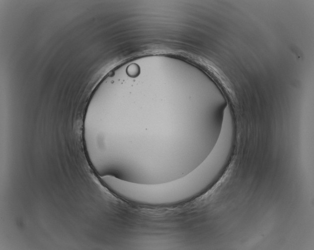 X0000111241185200907301300