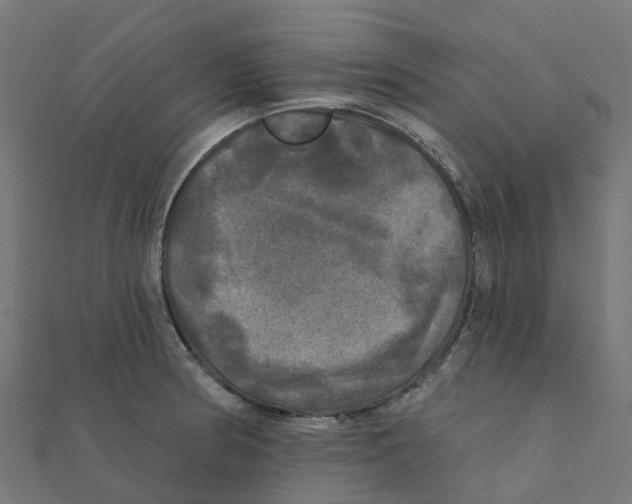 X0000111241186200907301300