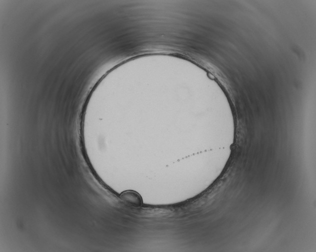 X0000111241187200907301300