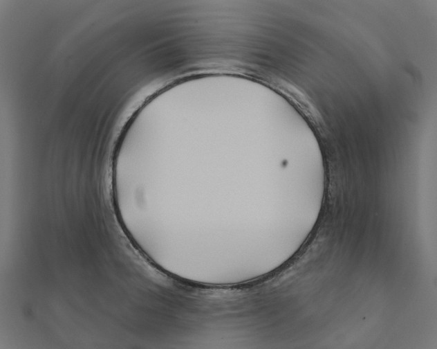 X0000111241188200907301300
