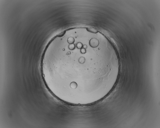 X0000111241189200907301300