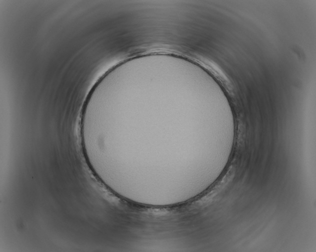 X0000111241190200907301300