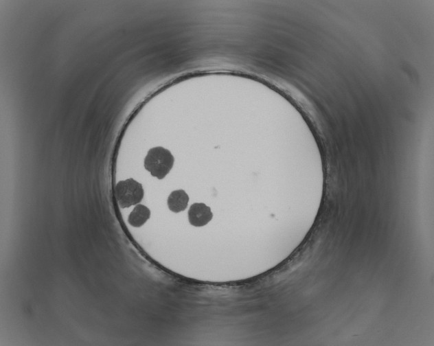 X0000111241191200907301300