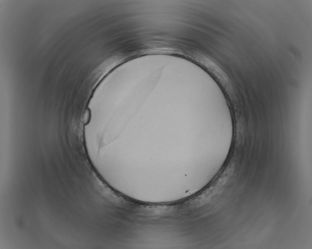 X0000111241193200907301300