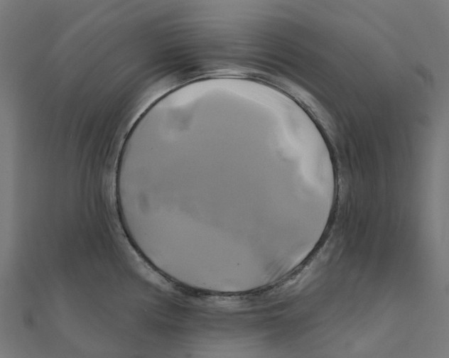 X0000111241194200907301300