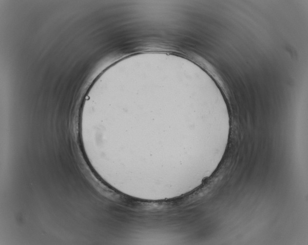 X0000111241195200907301300