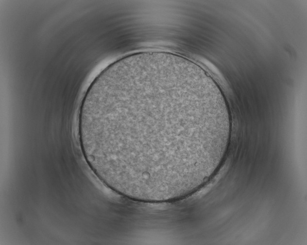 X0000111241196200907301300