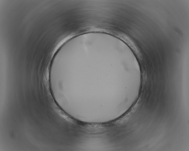 X0000111241198200907301300