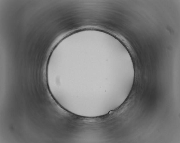 X0000111241199200907301300
