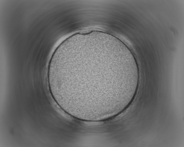 X0000111241200200907301300