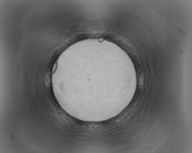 X0000111241204200907301259